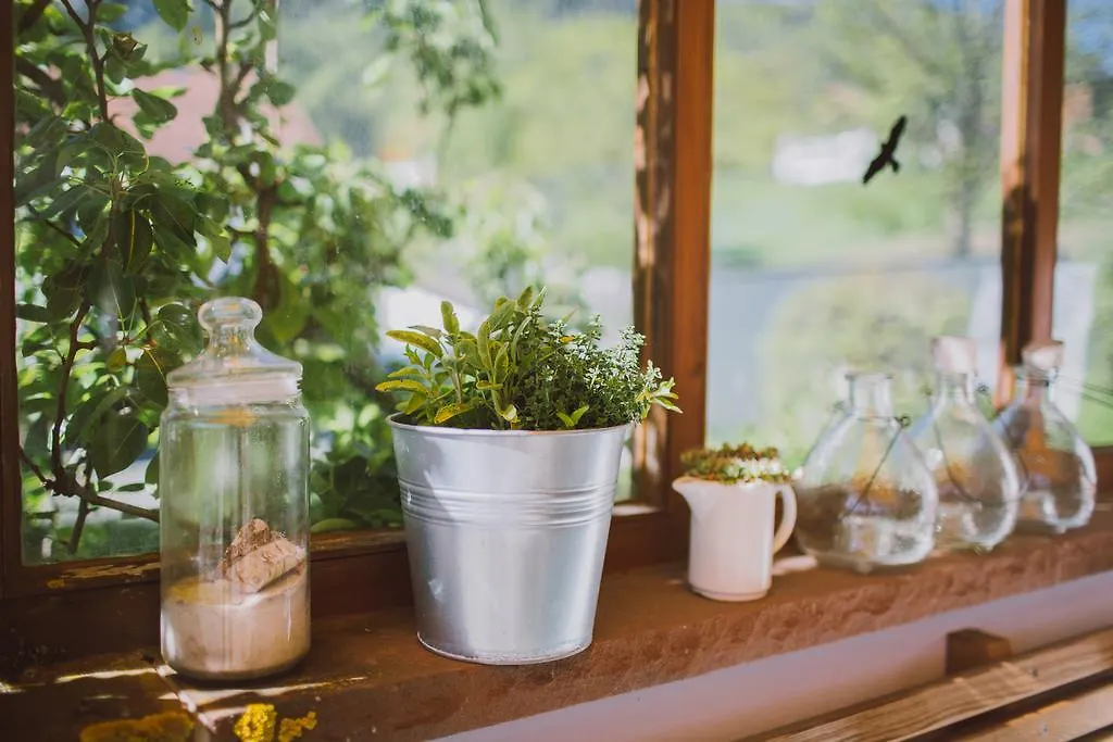 Dreimaederlhaus - Das Vegetarische Boutique Hotel Fussen